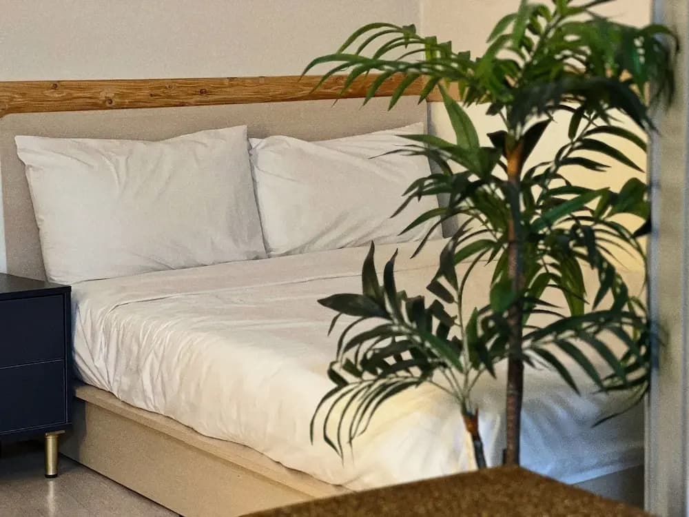 Jnineguesthouse - photo 5