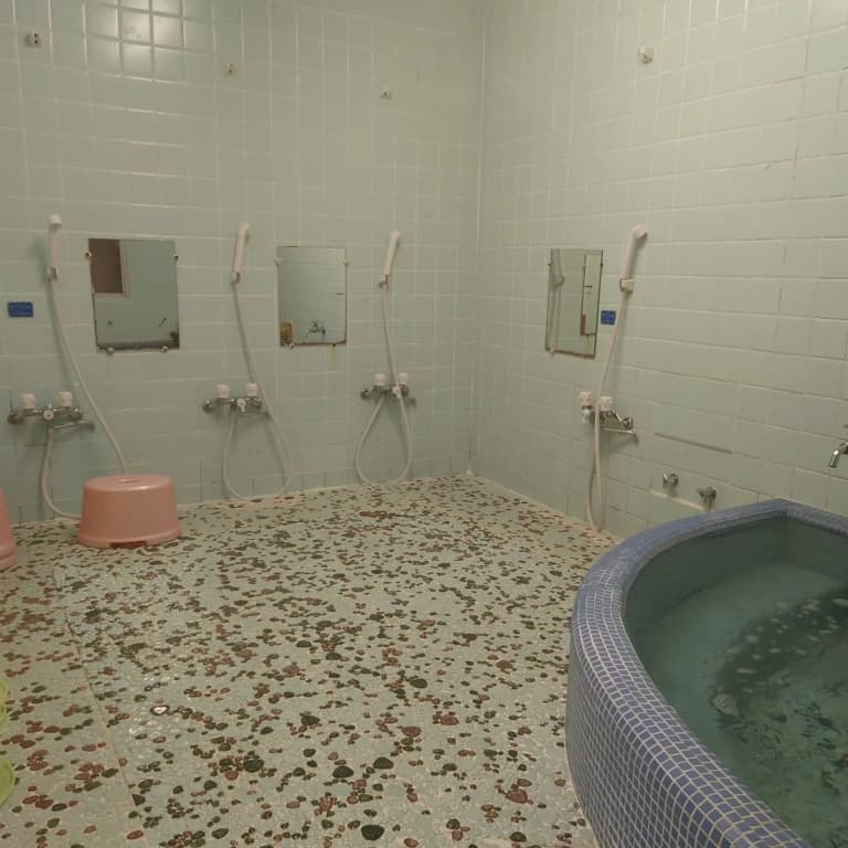 Takigawa Ryokan Honkan - photo 17