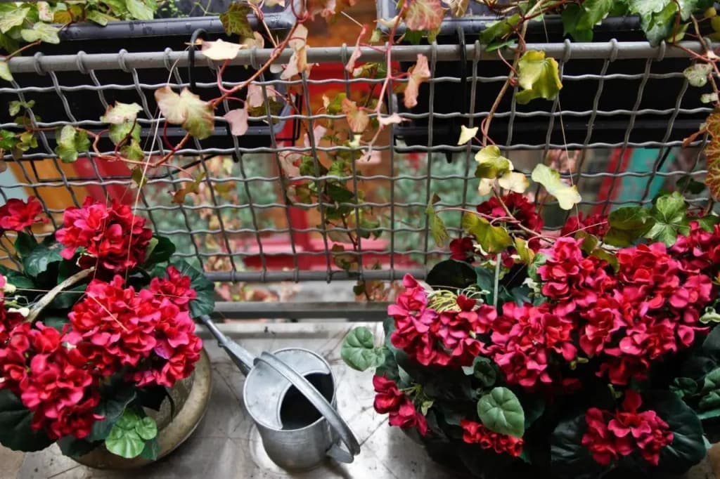 Le Passage Du Marais - photo 7