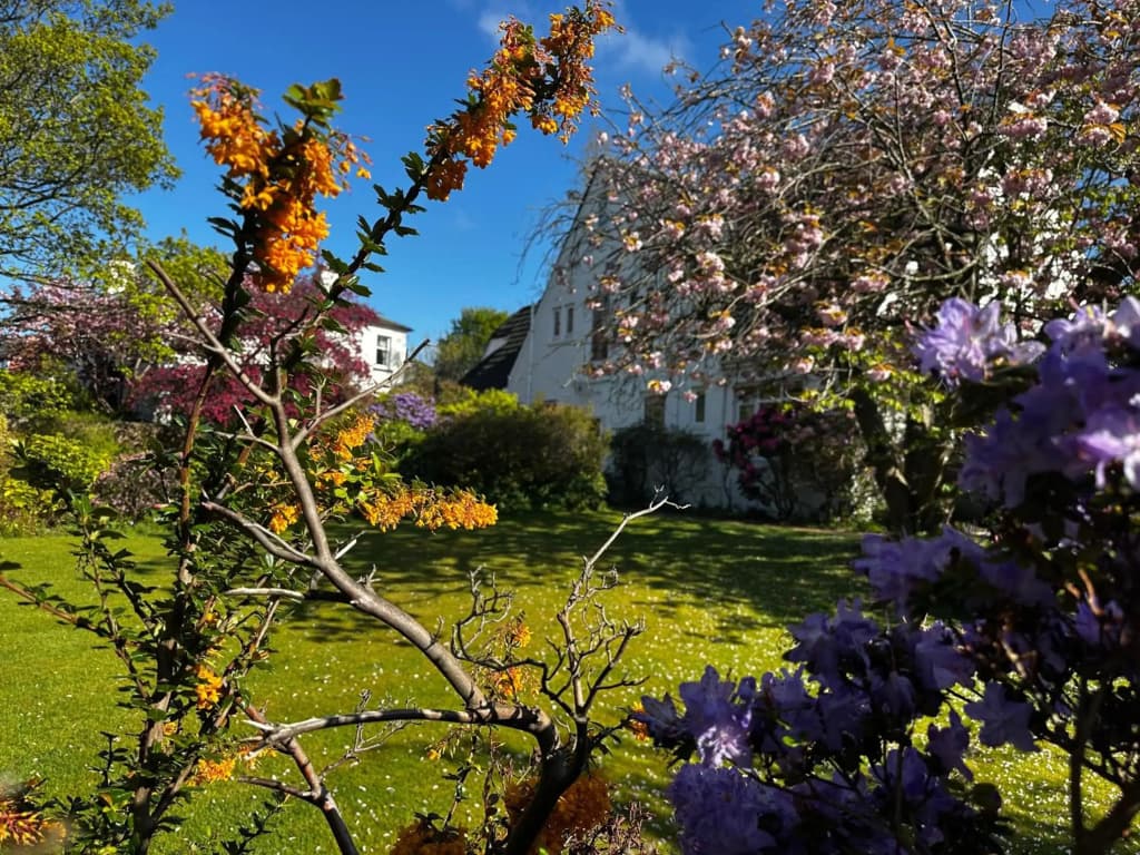 Carmichael Bed And Breakfast - photo 14
