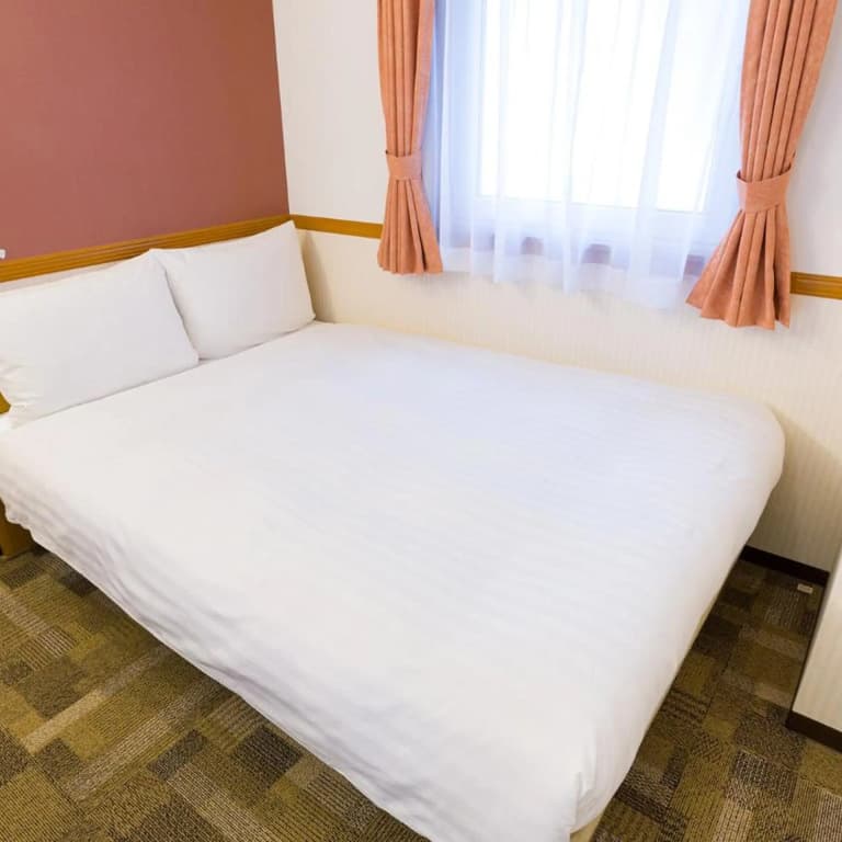 Toyoko Inn Tokyo Shinagawa Station Takanawa - photo 20