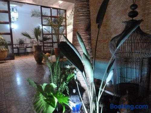 Riad Safina - photo 29