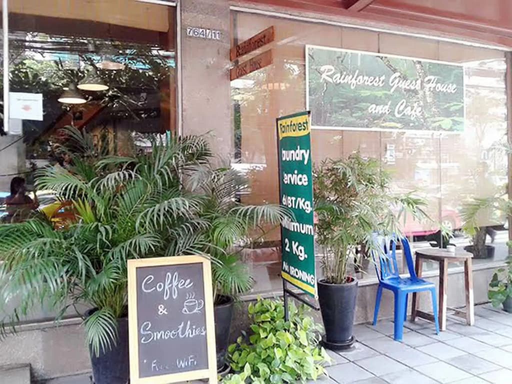 Rainforest Guest House - photo 11