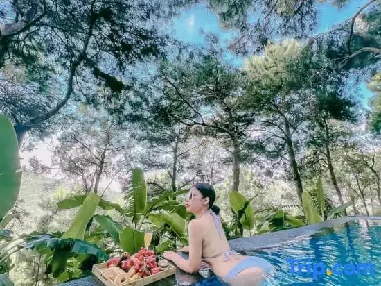 DeBay Retreat - Little Da Lat Chill Villa - photo 8
