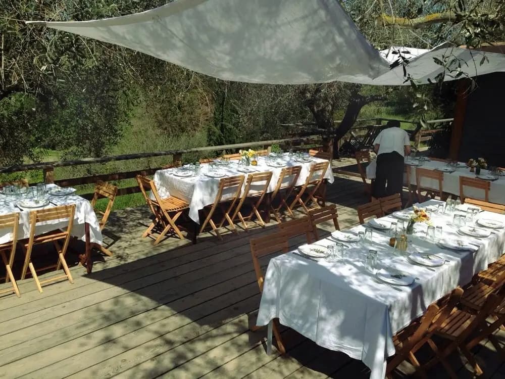 Madonnella Agricola - photo 23