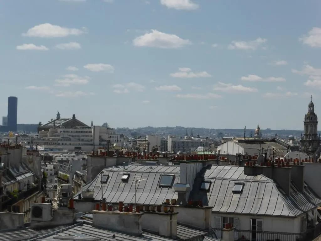 Hotel de Paris Saint Georges - photo 13