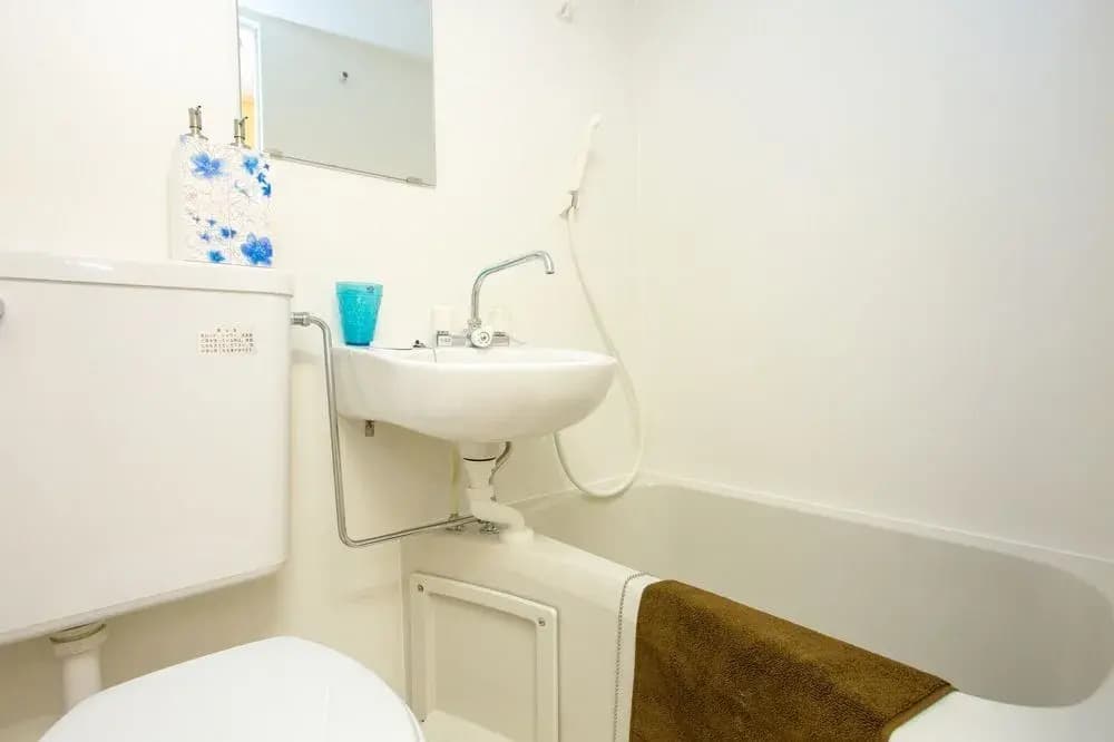 APAPANE Guesthouse - photo 8