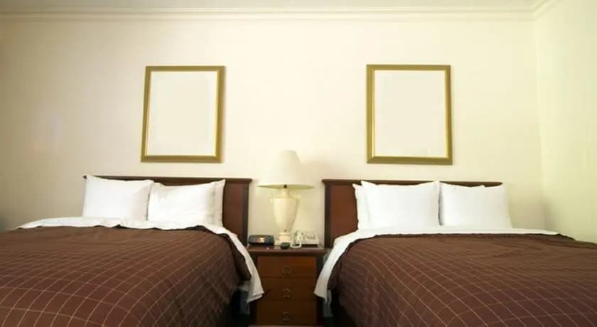 Armonyinrome - photo 6