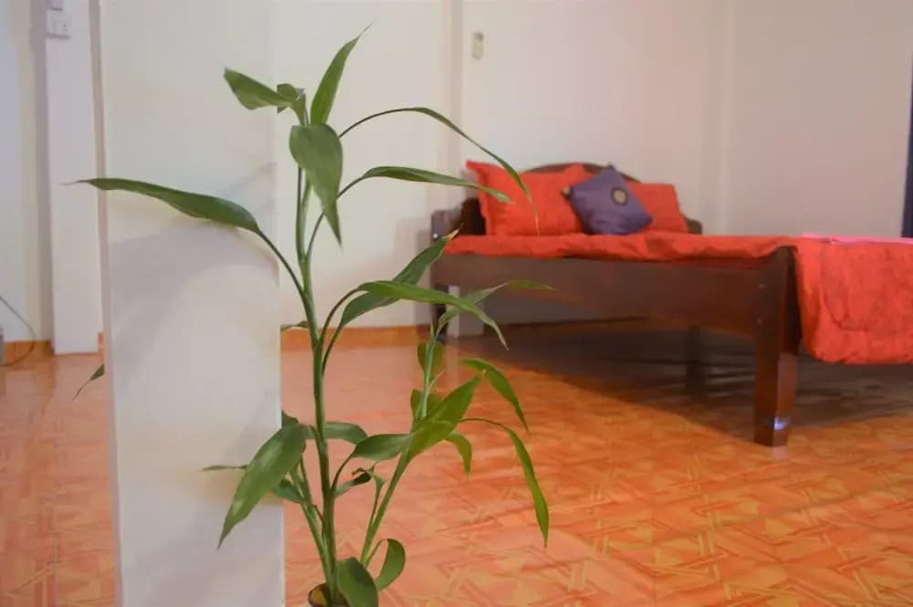 Sok Phen Homestay - photo 11