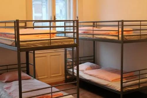 Black Dog Hostel - photo 5