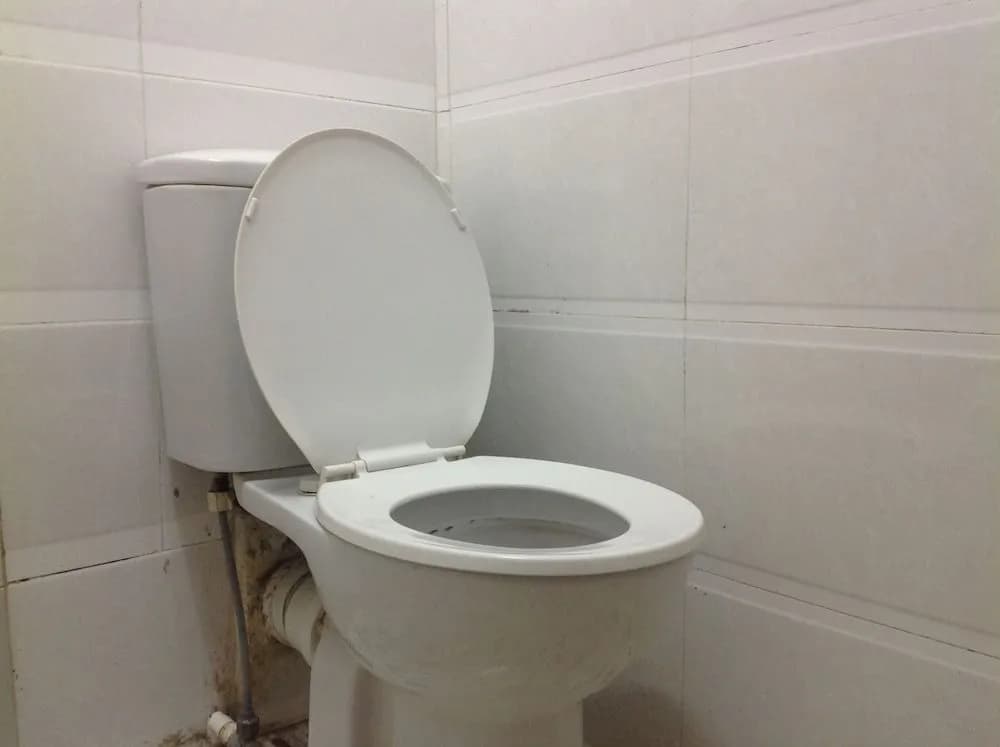 Golden Guest House - photo 8