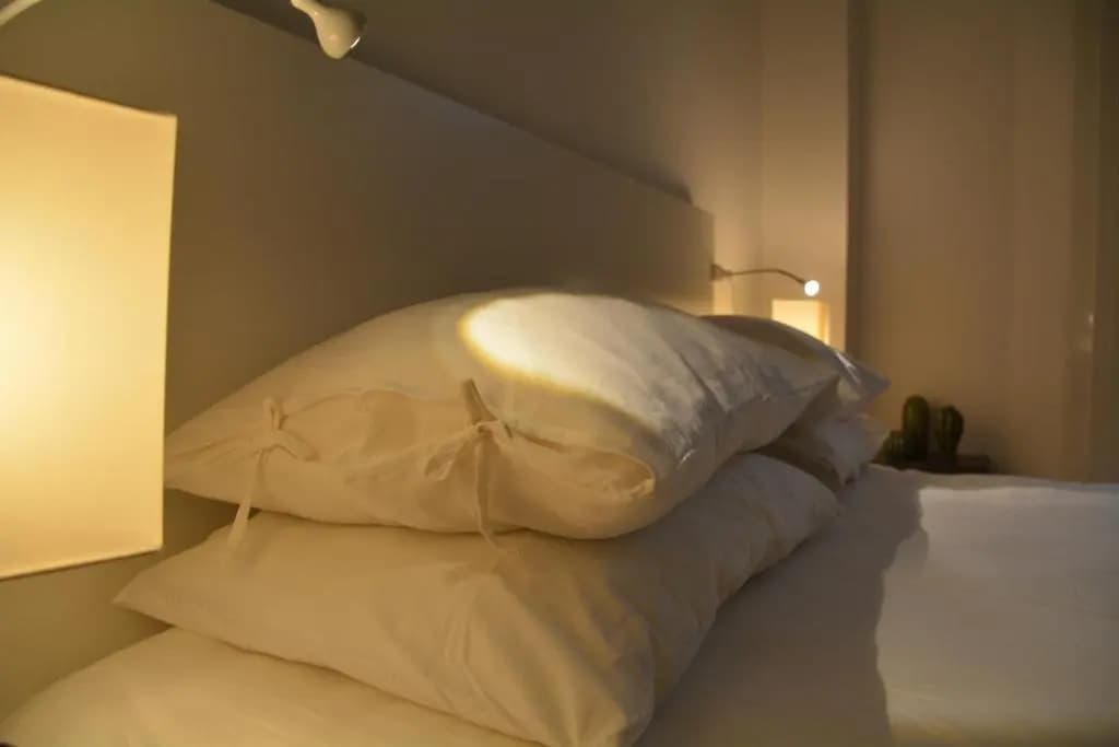Maison SAGM&C - photo 11