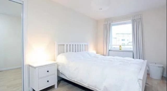 The Shore View Apartment - photo 12