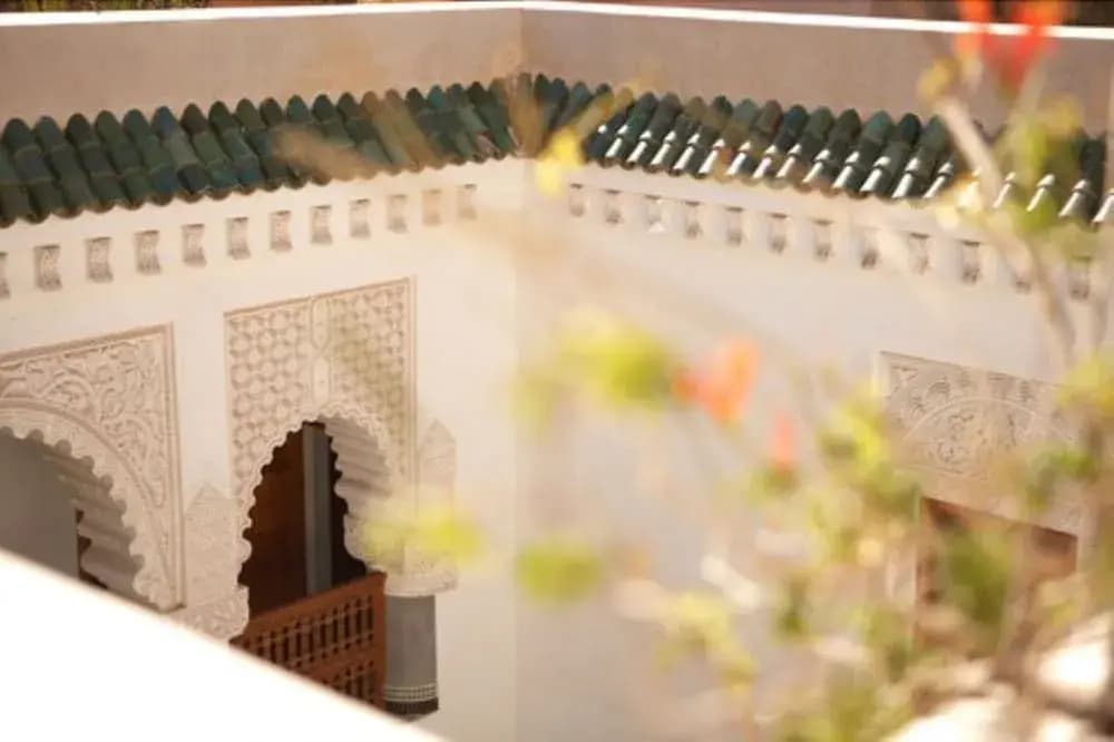 Riad Enija - photo 21