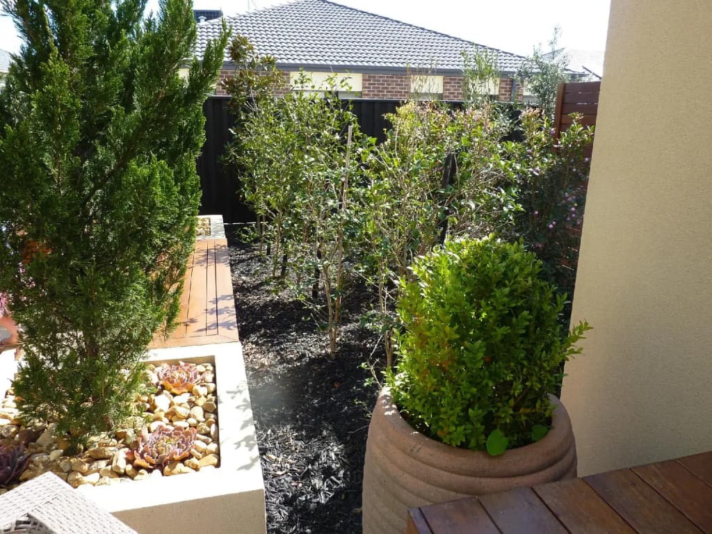 Lucky House - photo 6
