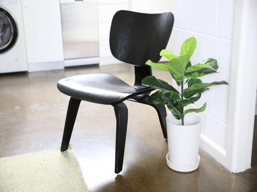 Apartment2c - Lennox 1 - photo 14