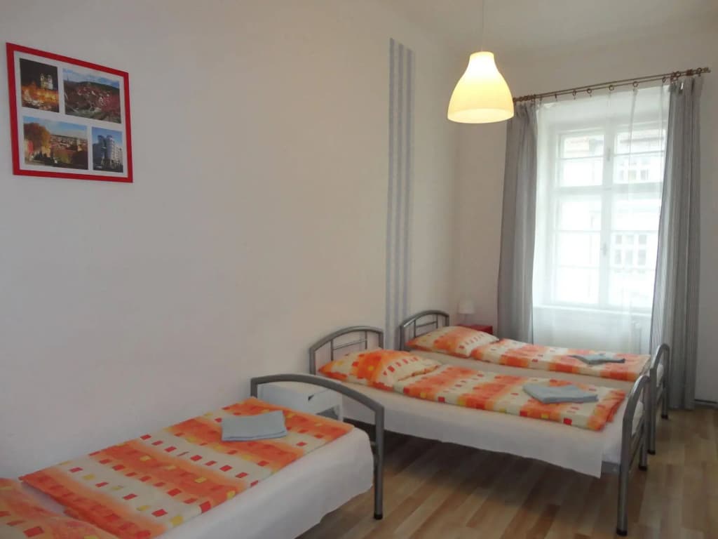 Pension Tara - photo 6