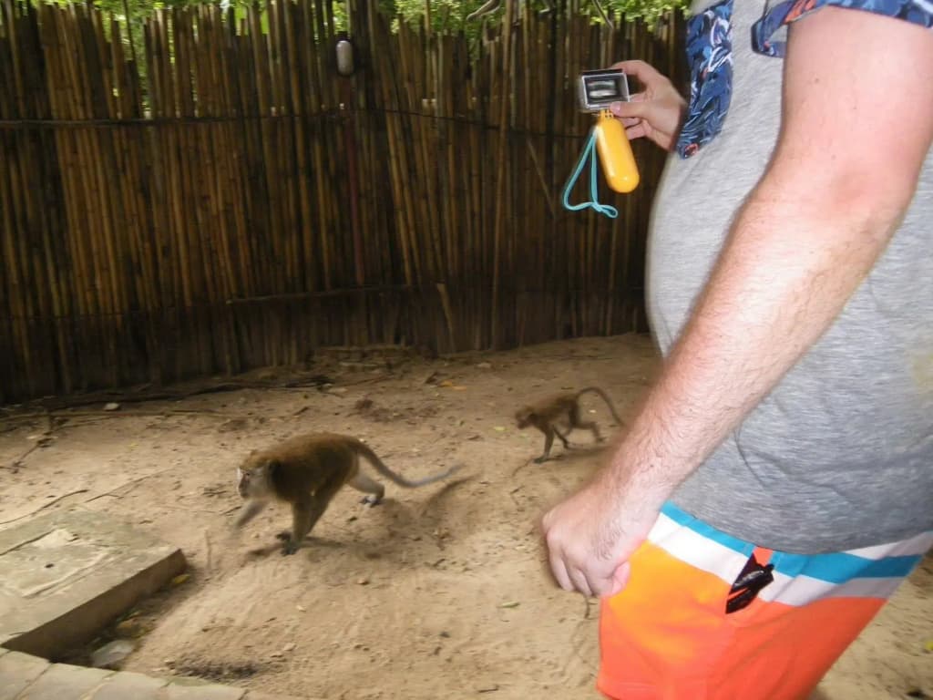 Diamond Cave Resort - photo 25