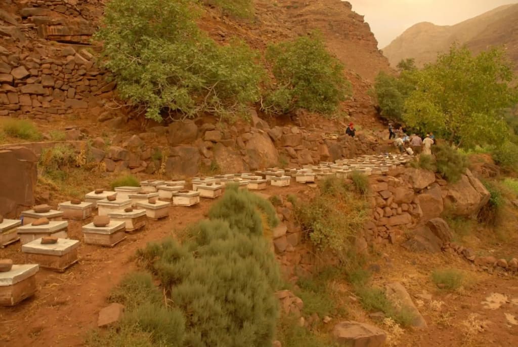 Riad Lorsya - photo 50