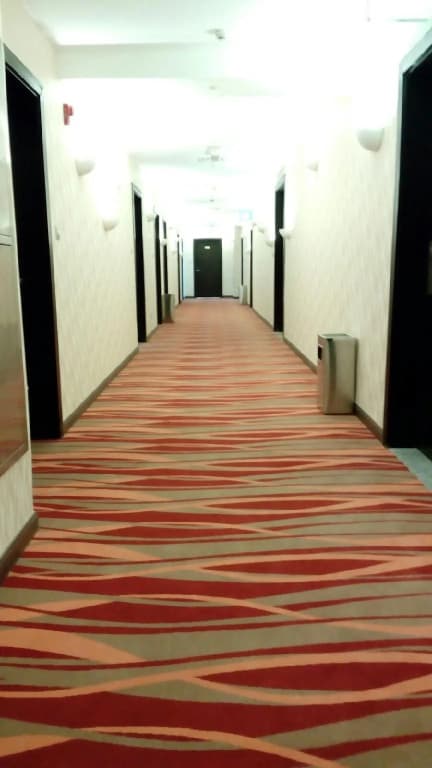 Al Mansour Plaza Hotel - photo 30