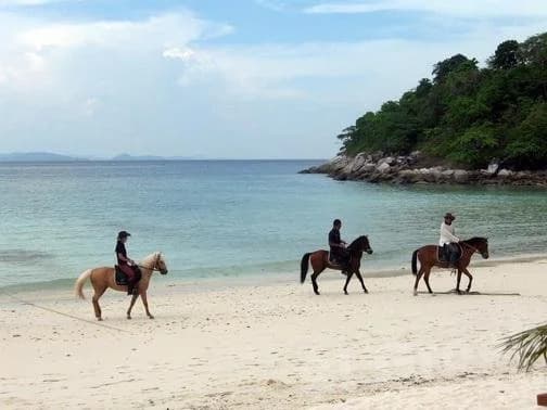 Lanta Mattia Bungalows and Resort - photo 14