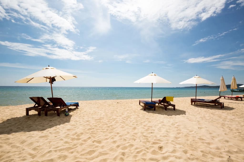 Camellia Resort & Spa - photo 18