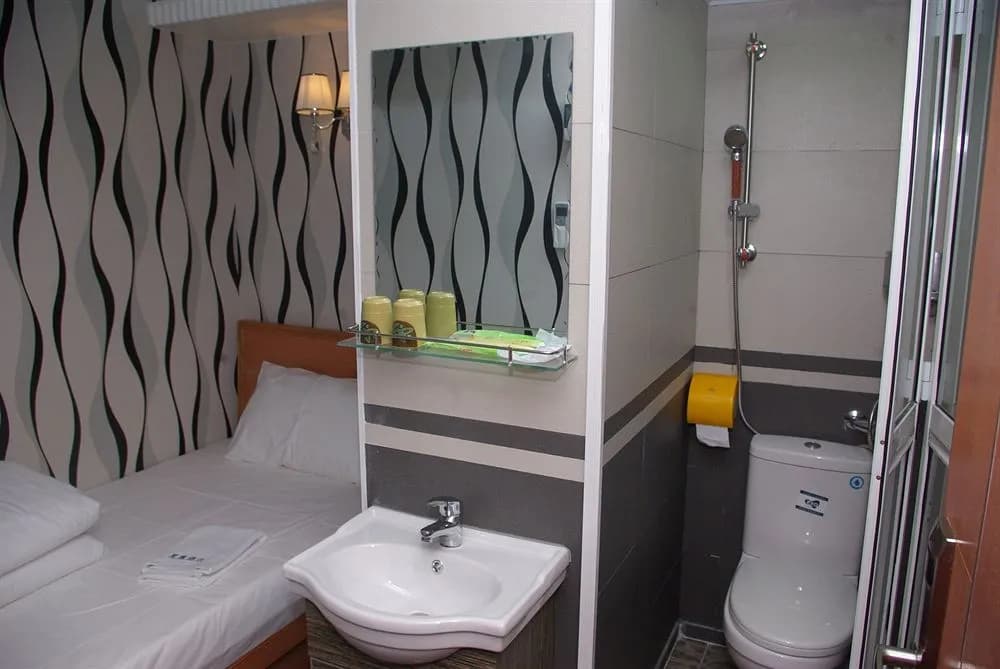 Star Metro Hotel - photo 7