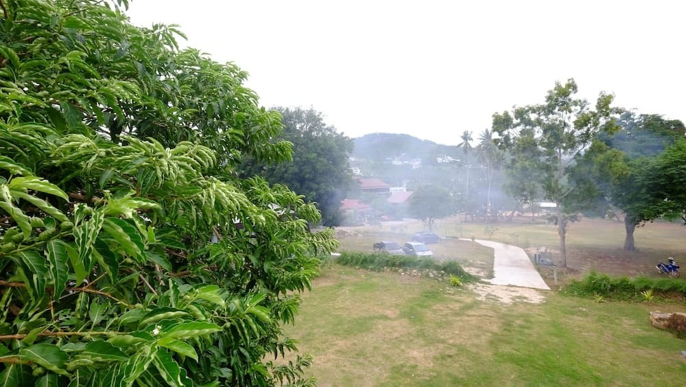 Vee Garden House - photo 11