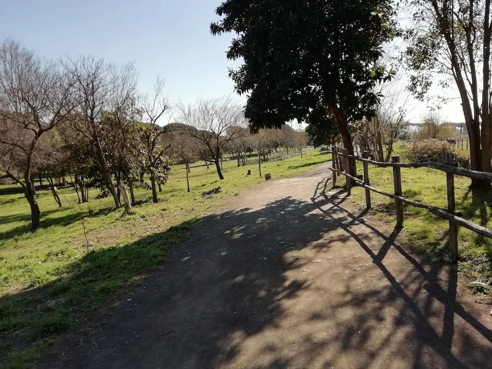 LAcquedotto Felice - photo 10