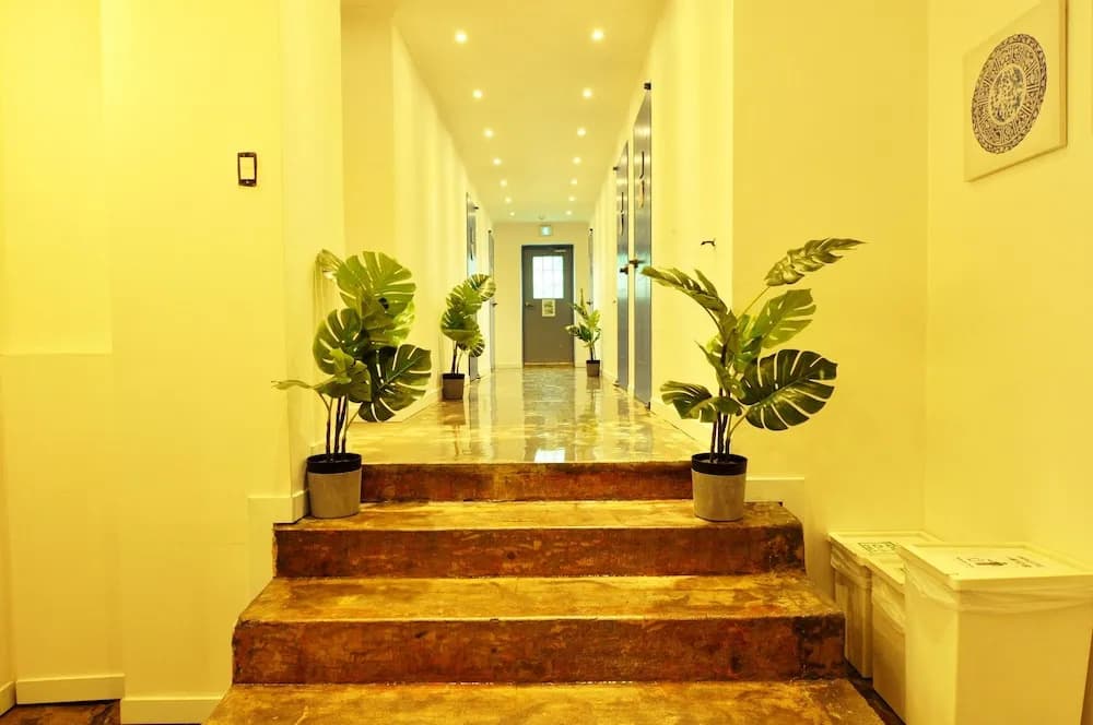 Oyo Rooftop Hostel - photo 15