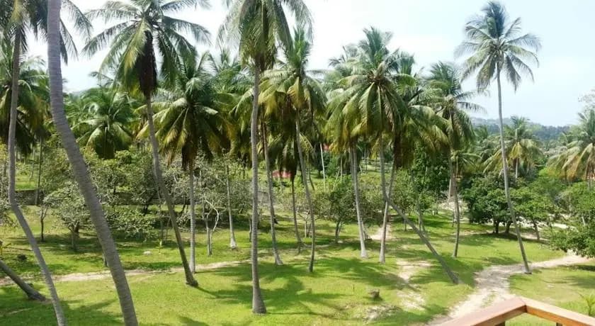 Choeng Mon Resort - photo 8