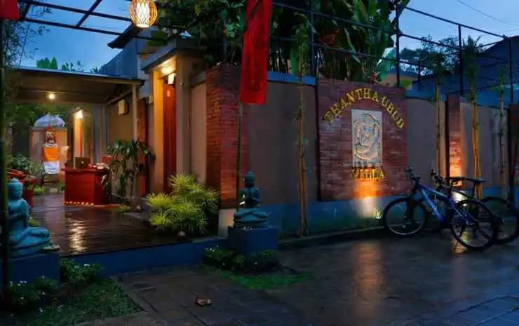 Thantha Ubud Villa - photo 12