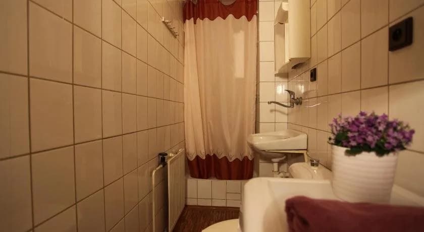 Pension Albert - photo 8