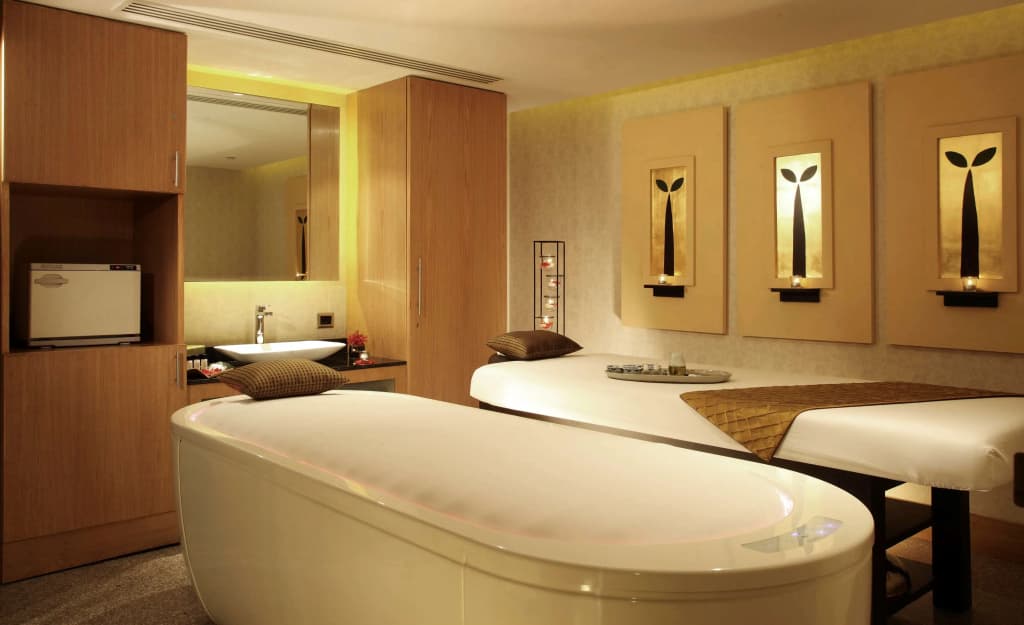 Radisson Blu Plaza Delhi Airport - photo 19
