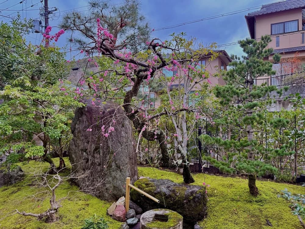 Haku Yase - photo 27