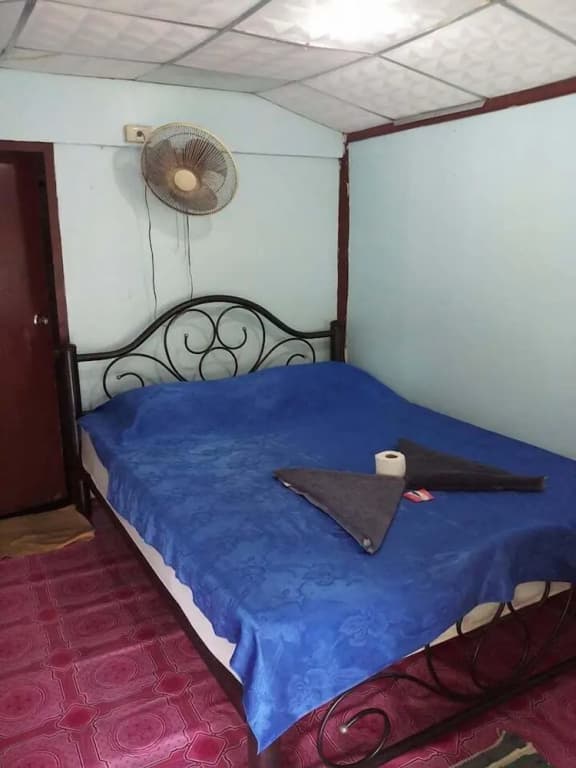 Royal Orchid Resort - photo 19