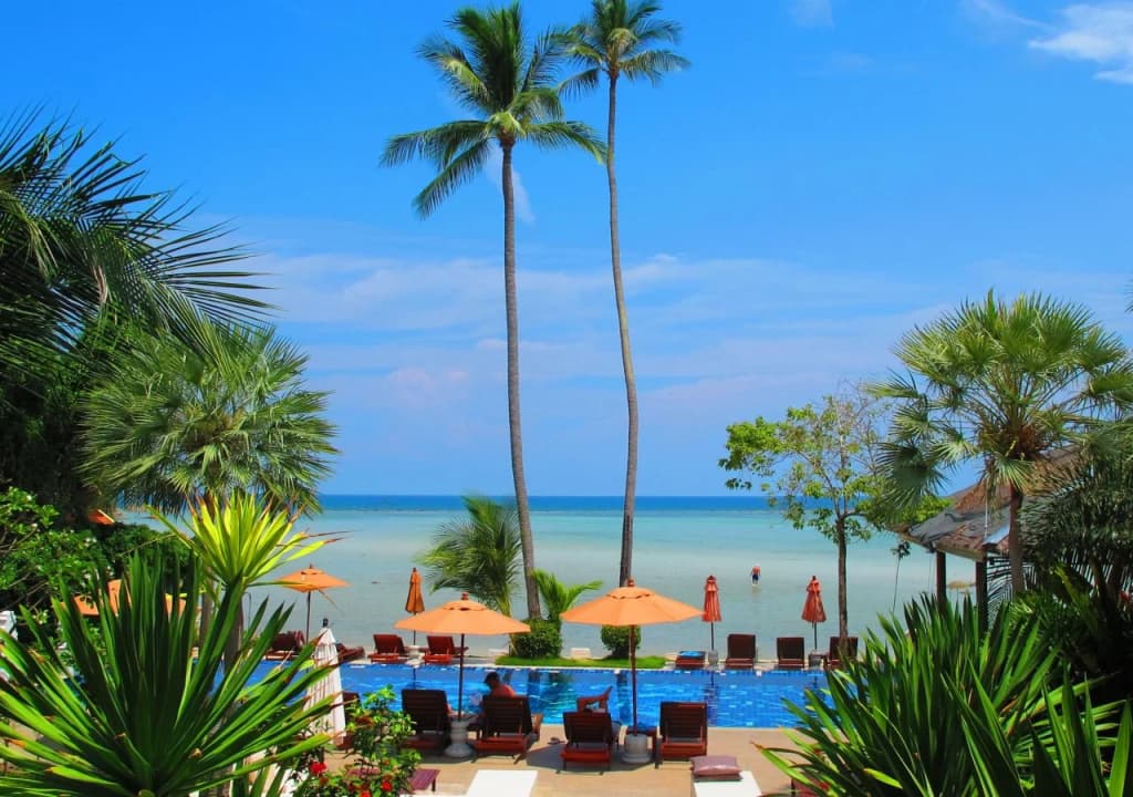 Palm Coco Mantra - photo 20