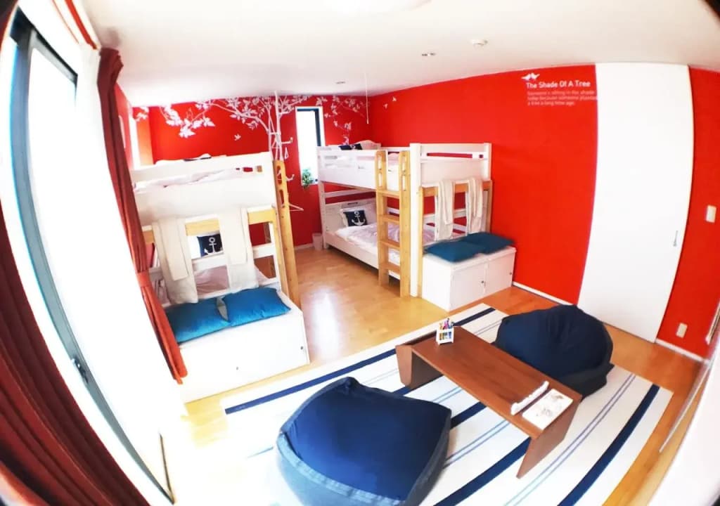 Tokyo Machida Relaxable Shared House - photo 10