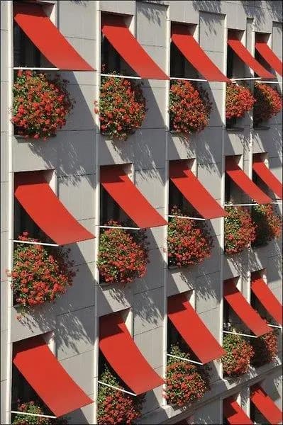 De Vigny - photo 12