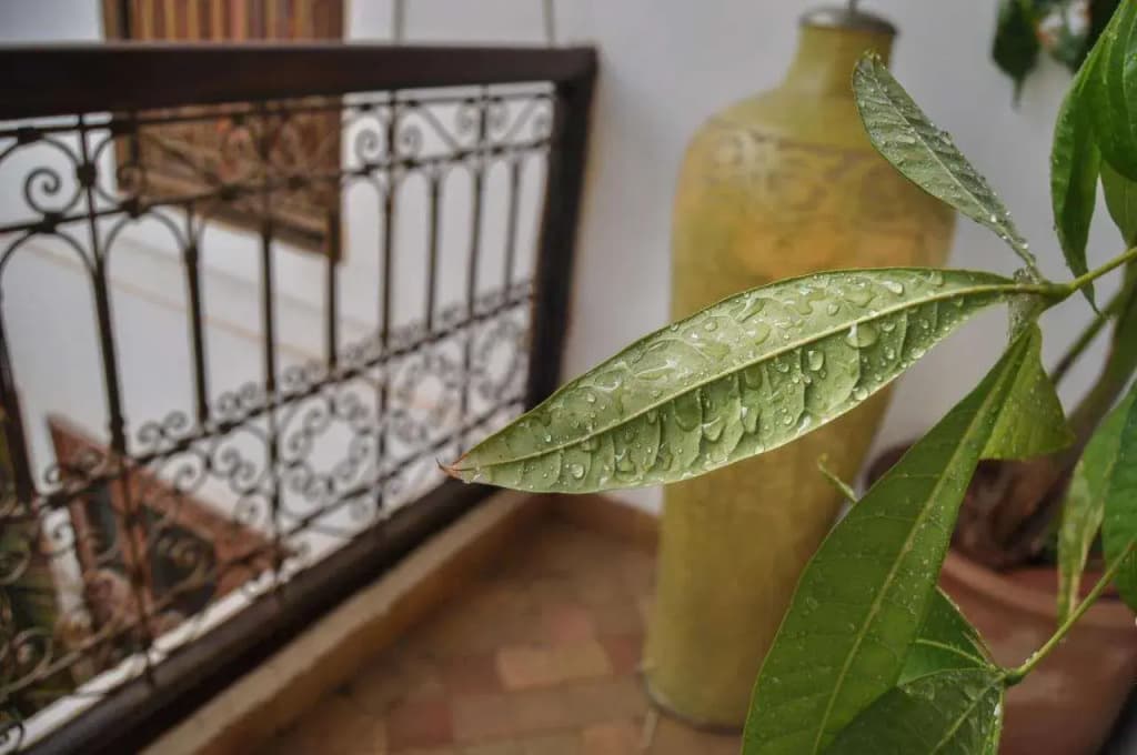 Riad Mandalay - photo 33