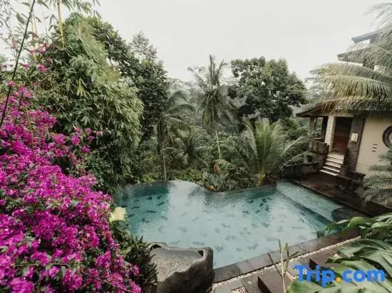 The Iyang Ubud - photo 40
