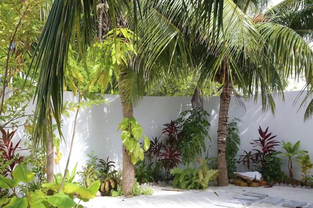 Pandanus Villa - photo 14