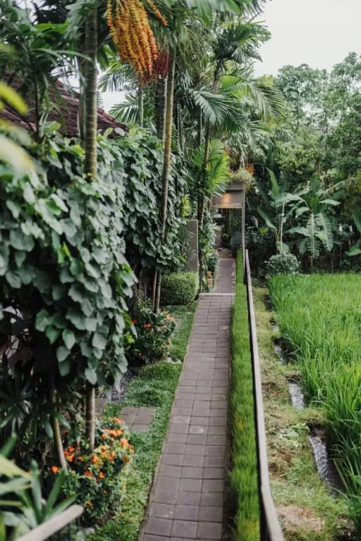 Pangkung Sari B&B - photo 50