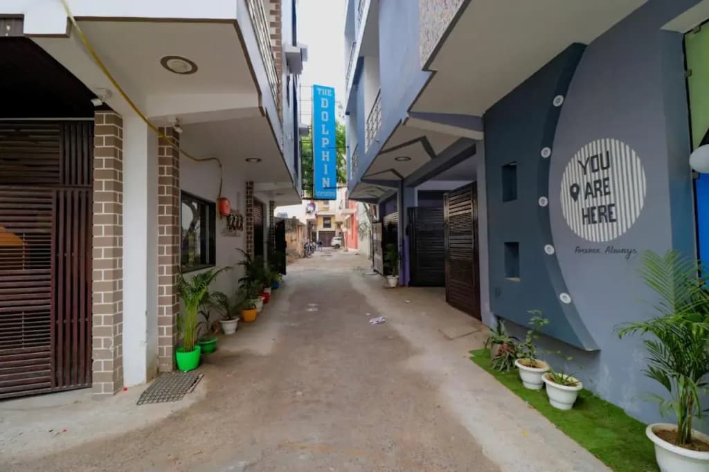 Hotel Dolphin International - photo 15