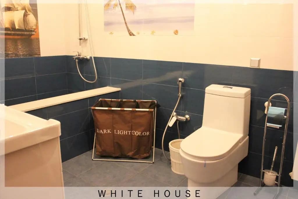 White House - photo 8