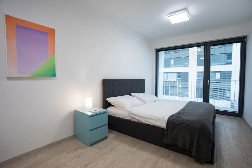 Prague Comfort Apartment - photo 4
