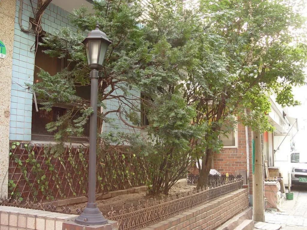 Saewha Hostel - photo 10