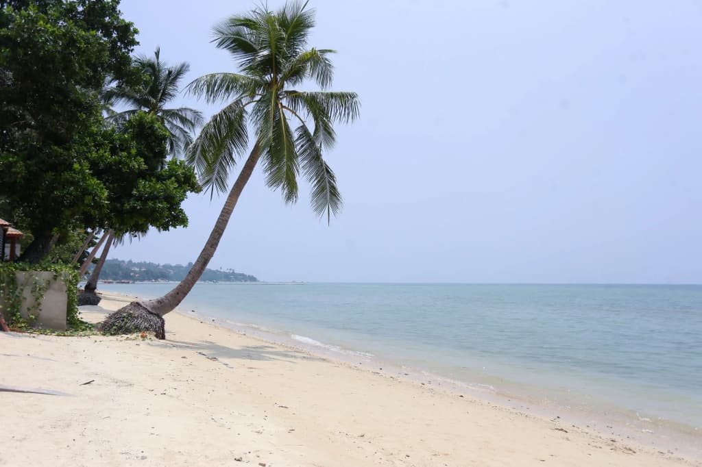 Pao Jin Poon Beach Front Villa - photo 15