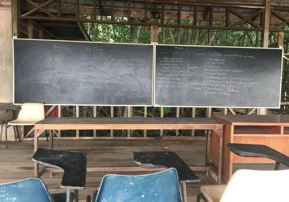 Bakau Hijau Riverlodge - main photo