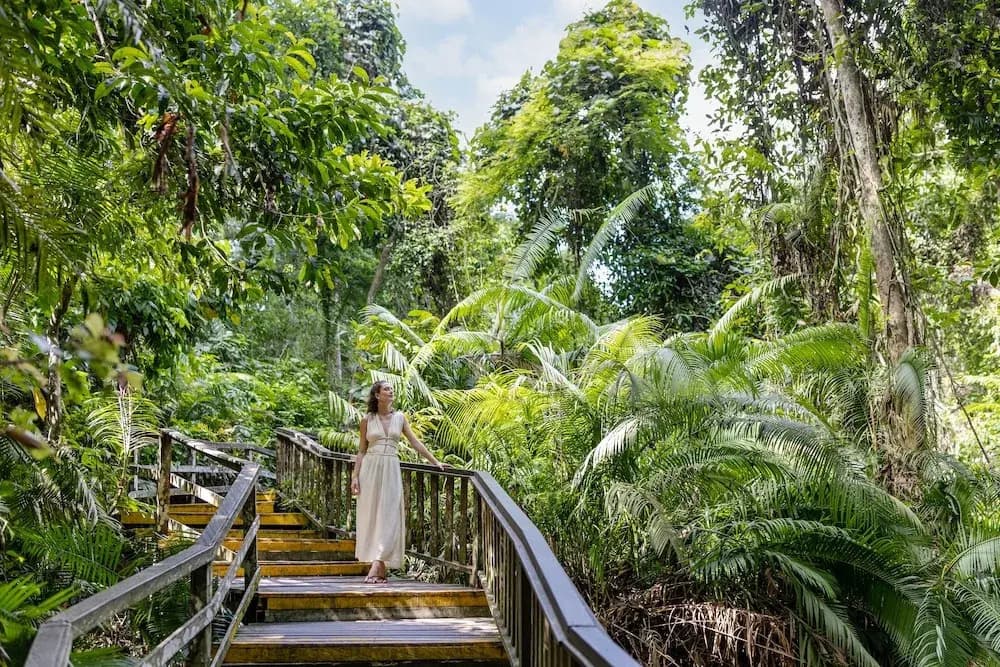 The Hava Ubud A Pramana Experience - photo 40